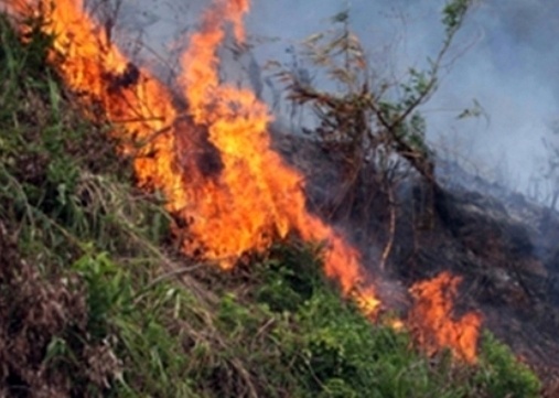 400 nguoi dap tat chay rung trong khu danh thang Trang An hinh anh