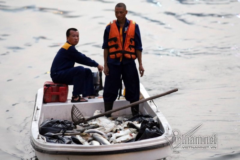 Ca chet trang ho anh 2