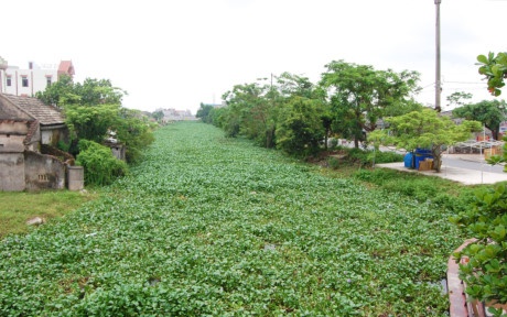 Thi the co hinh xam 'Thuong cho mot so phan' noi tren song hinh anh