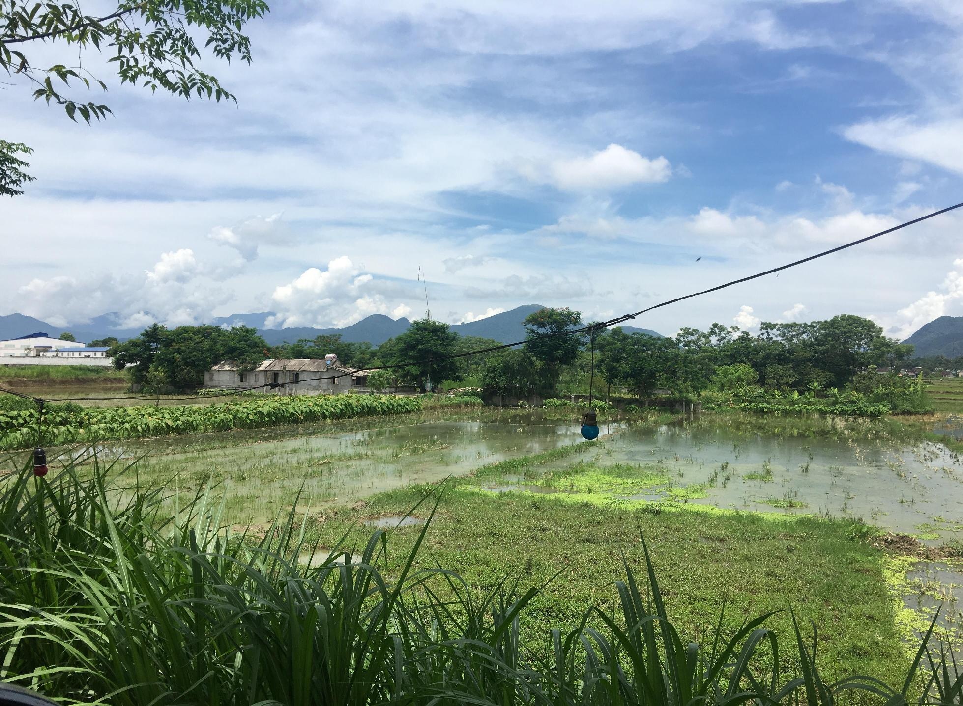 Thi the nguoi phu nu co vet chem noi tren mat ao hinh anh