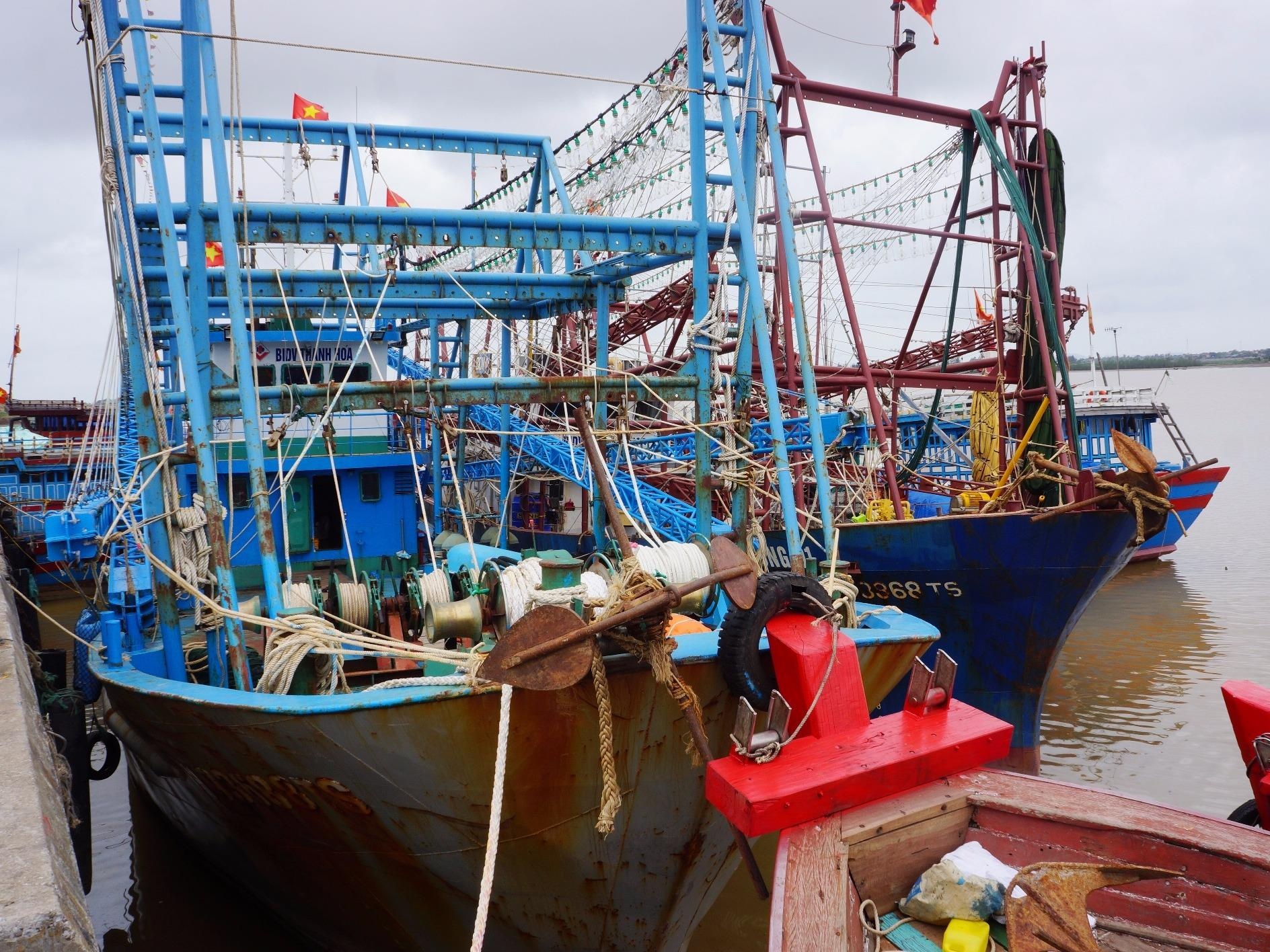 Den luot ngu dan Thanh Hoa dieu dung vi tau thep chuc ty lien tuc hong hinh anh