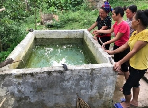 Hai be trai chet duoi trong be nuoc gia dinh hinh anh