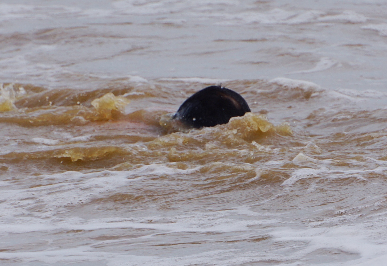 khach phan ung khi bi cam tam anh 7