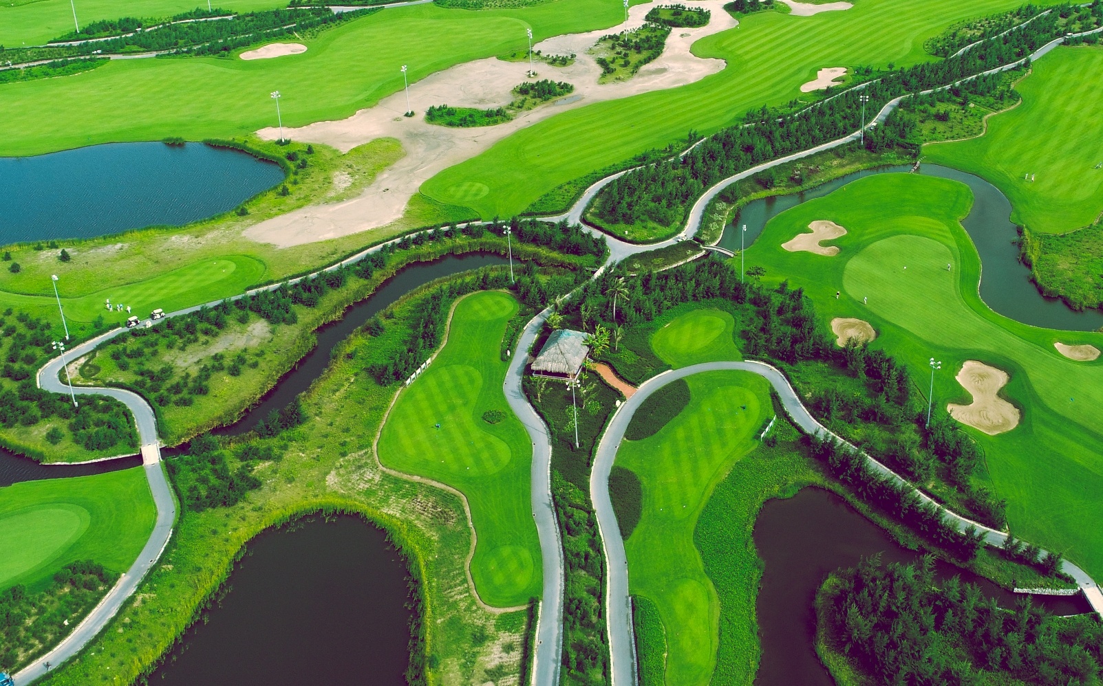 toan canh du an FLC anh 5