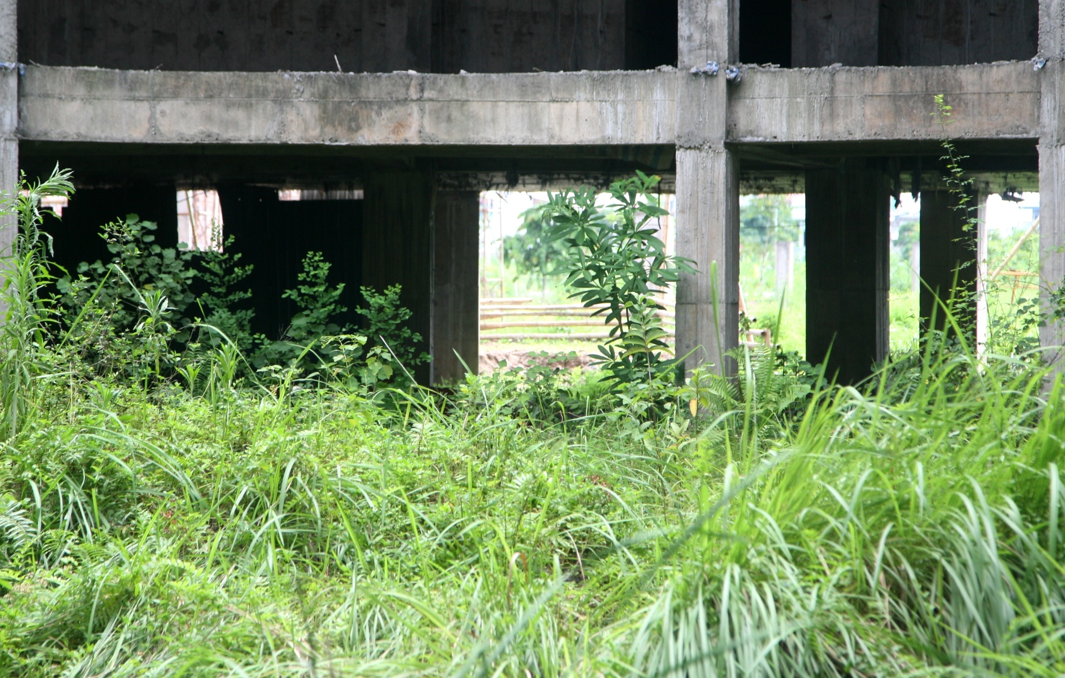 du an benh vien bo hoang anh 5