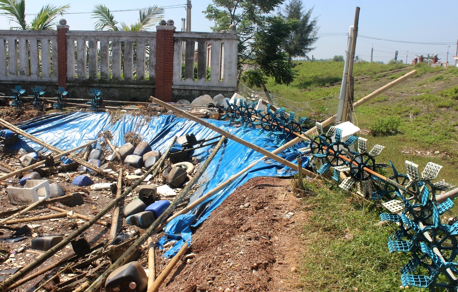 dam tom tan hoang anh 3