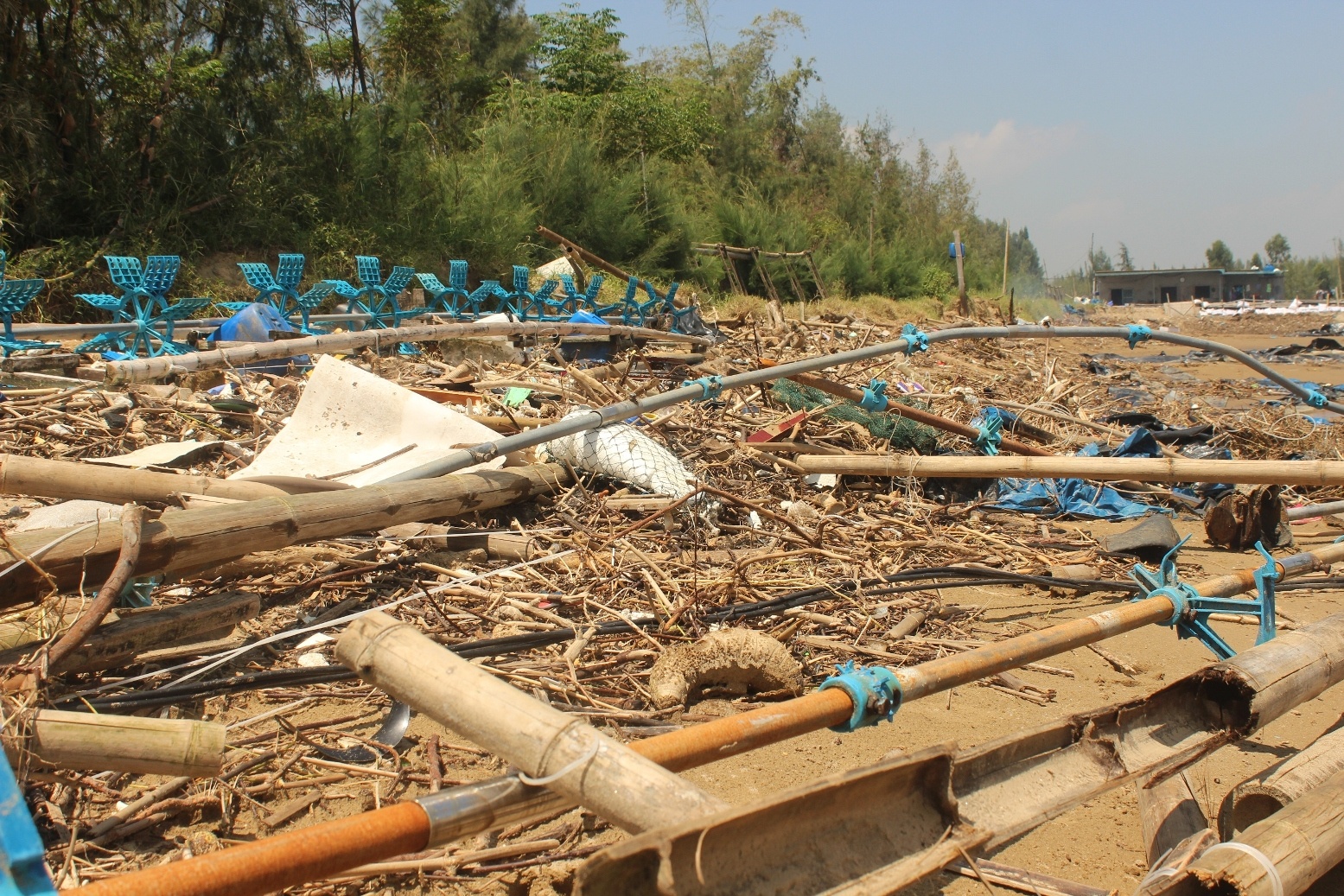Dam tom tan hoang sau bao, nguoi nuoi mat tien ty hinh anh