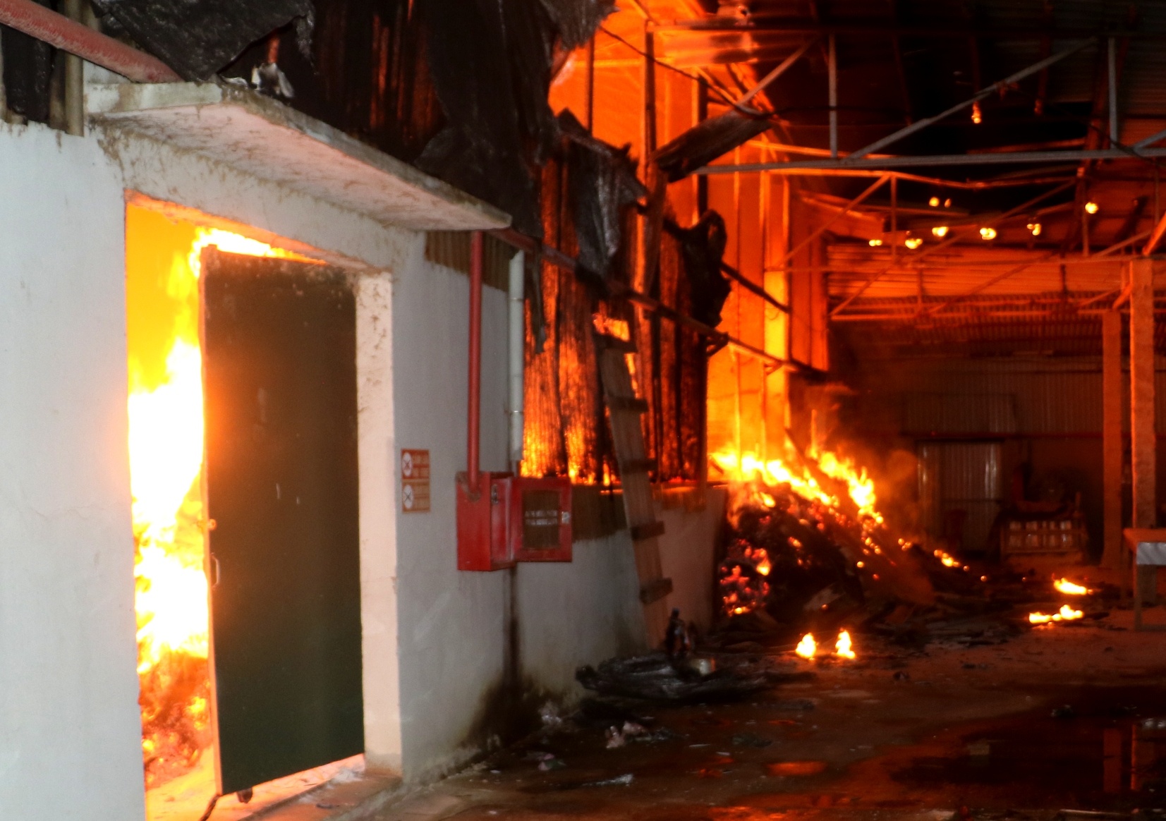 Xuong tam dua chay du doi suot nam gio hinh anh