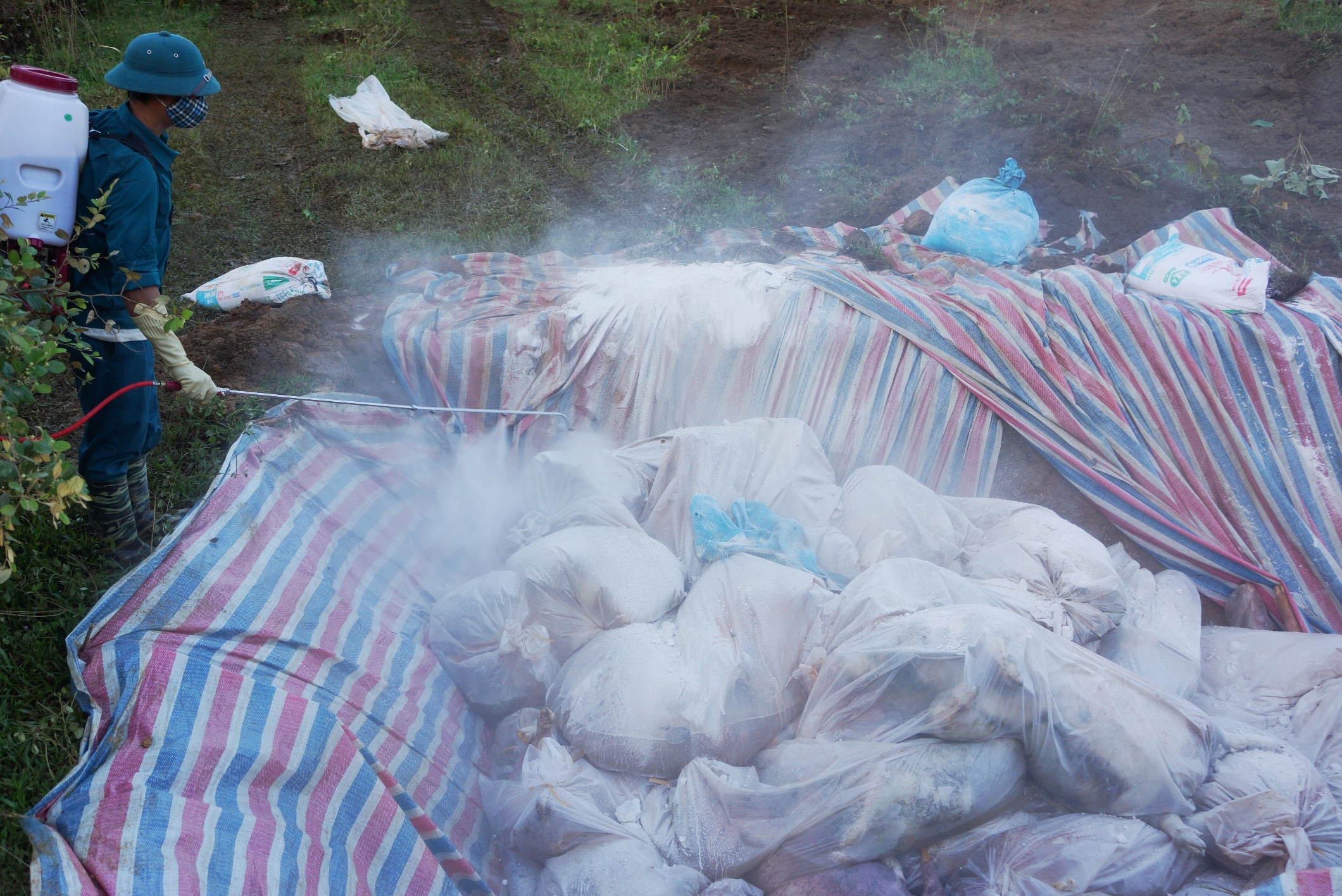 Tieu huy dan lon chet anh 9