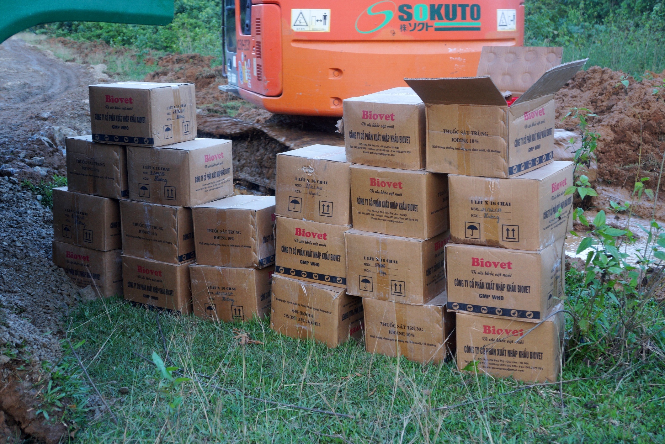 Tieu huy dan lon chet anh 4