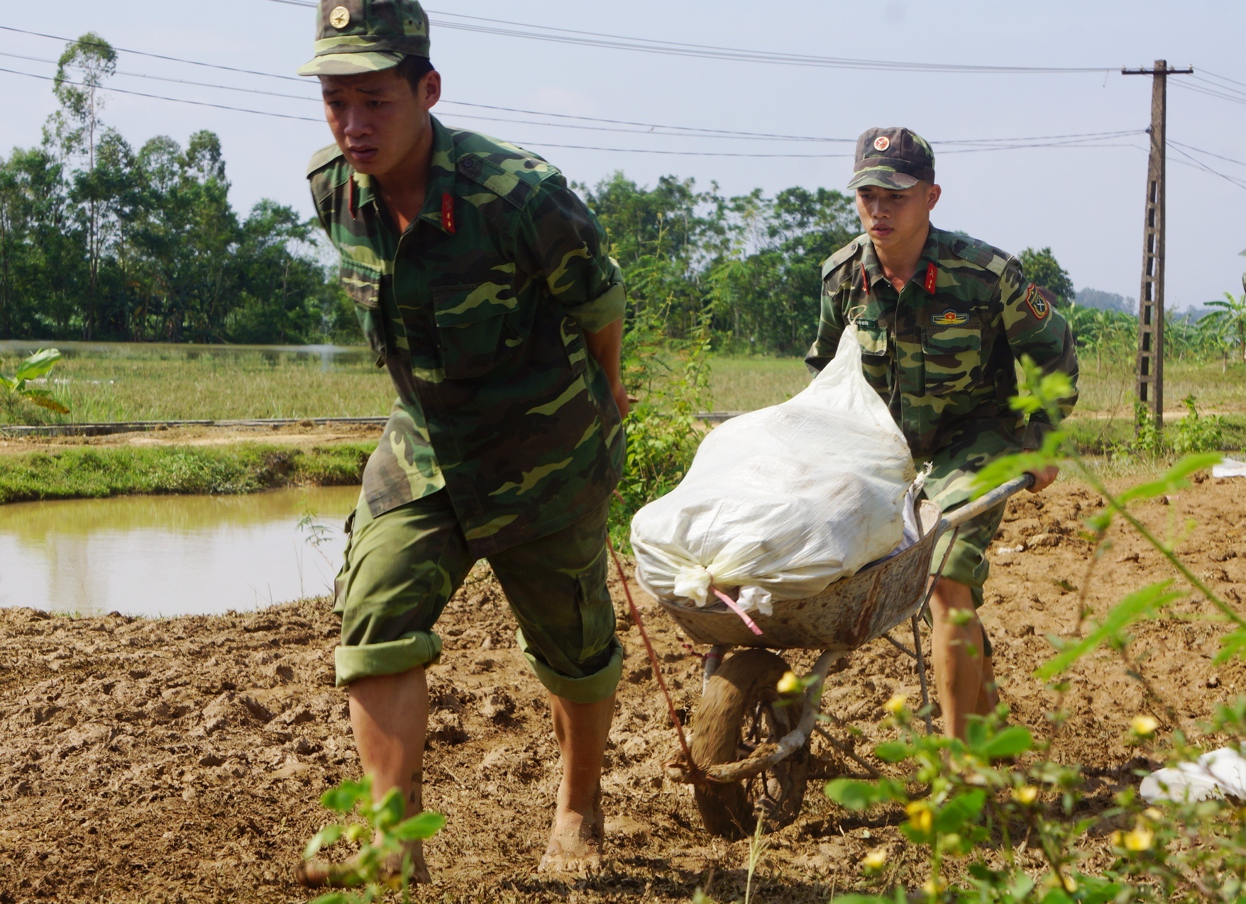 Bo doi hoi ha dap de chong bao so 11 sau lu hinh anh
