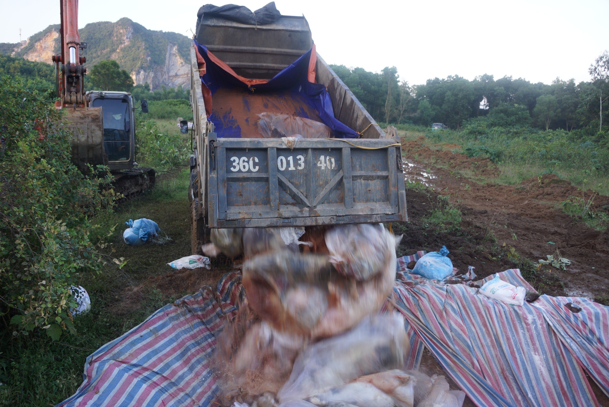 Canh tieu huy dan lon chet trong lu o Thanh Hoa hinh anh