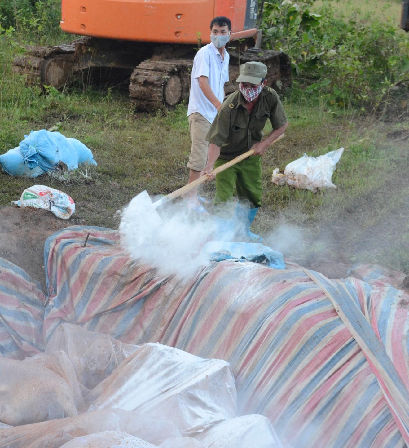 Tieu huy dan lon chet anh 8