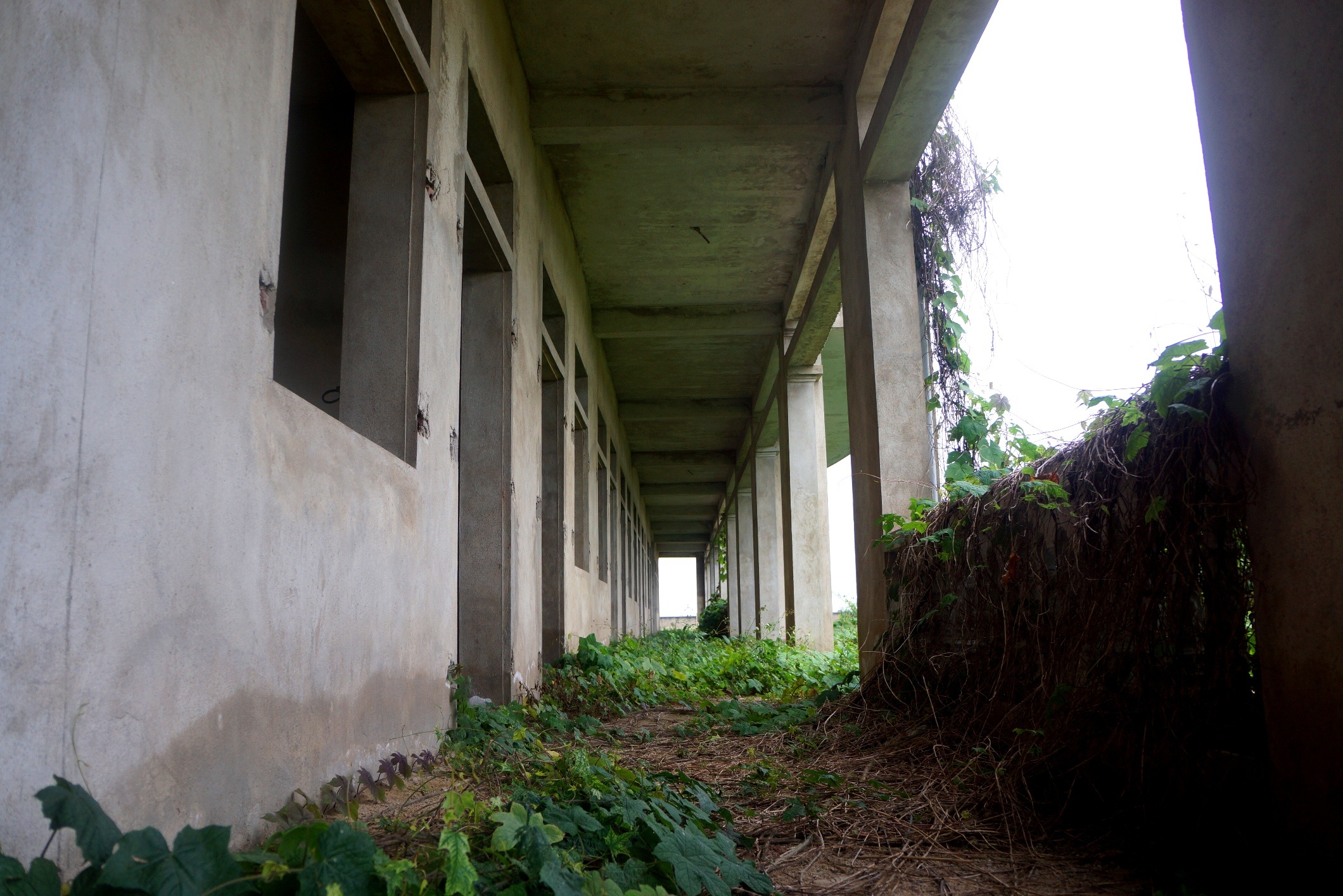 du an truong hoc bo hoang anh 4