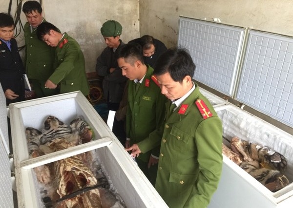 Nấu cao hổ ảnh 1 Nau cao ho anh 1