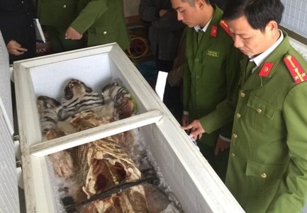 Mua 2 ca the ho voi gia gan 1 ty dong de nau cao hinh anh