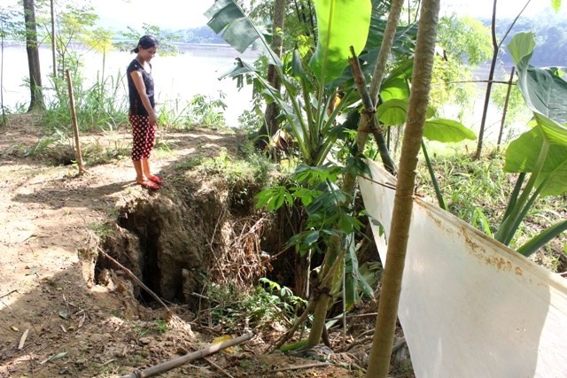 chat van nan cat tac anh 3