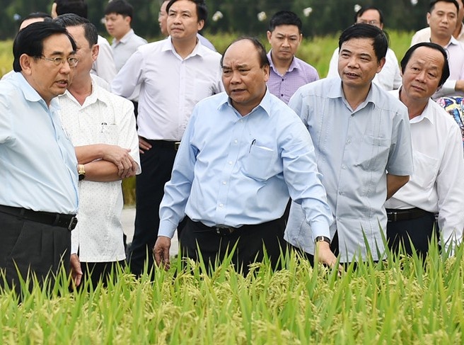 Phat trien Dong bang song Cuu Long: Uu tien thuy san, cay an trai, lua hinh anh