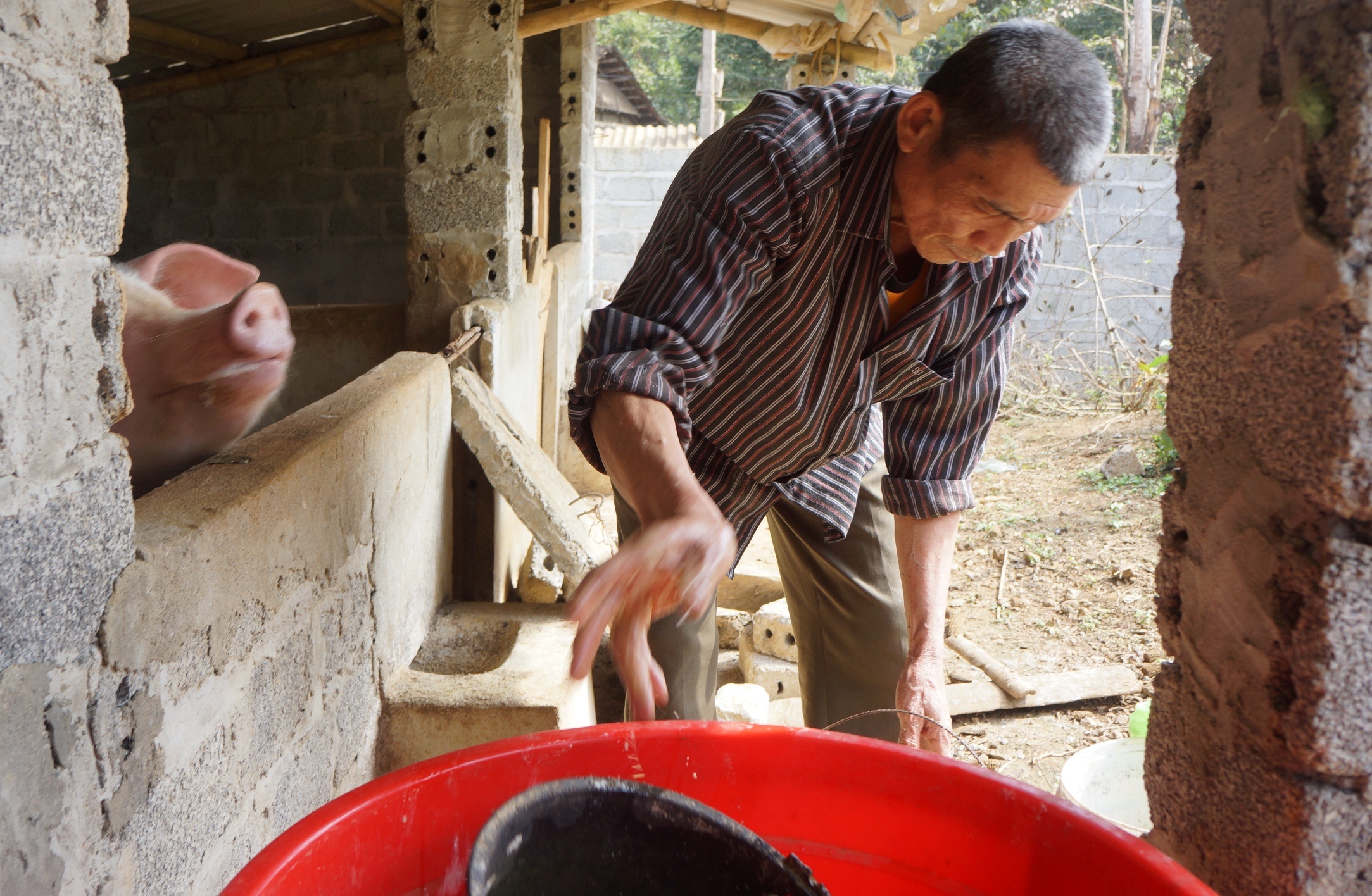 niem vui cua gia dinh thu mon Tien Dung anh 1