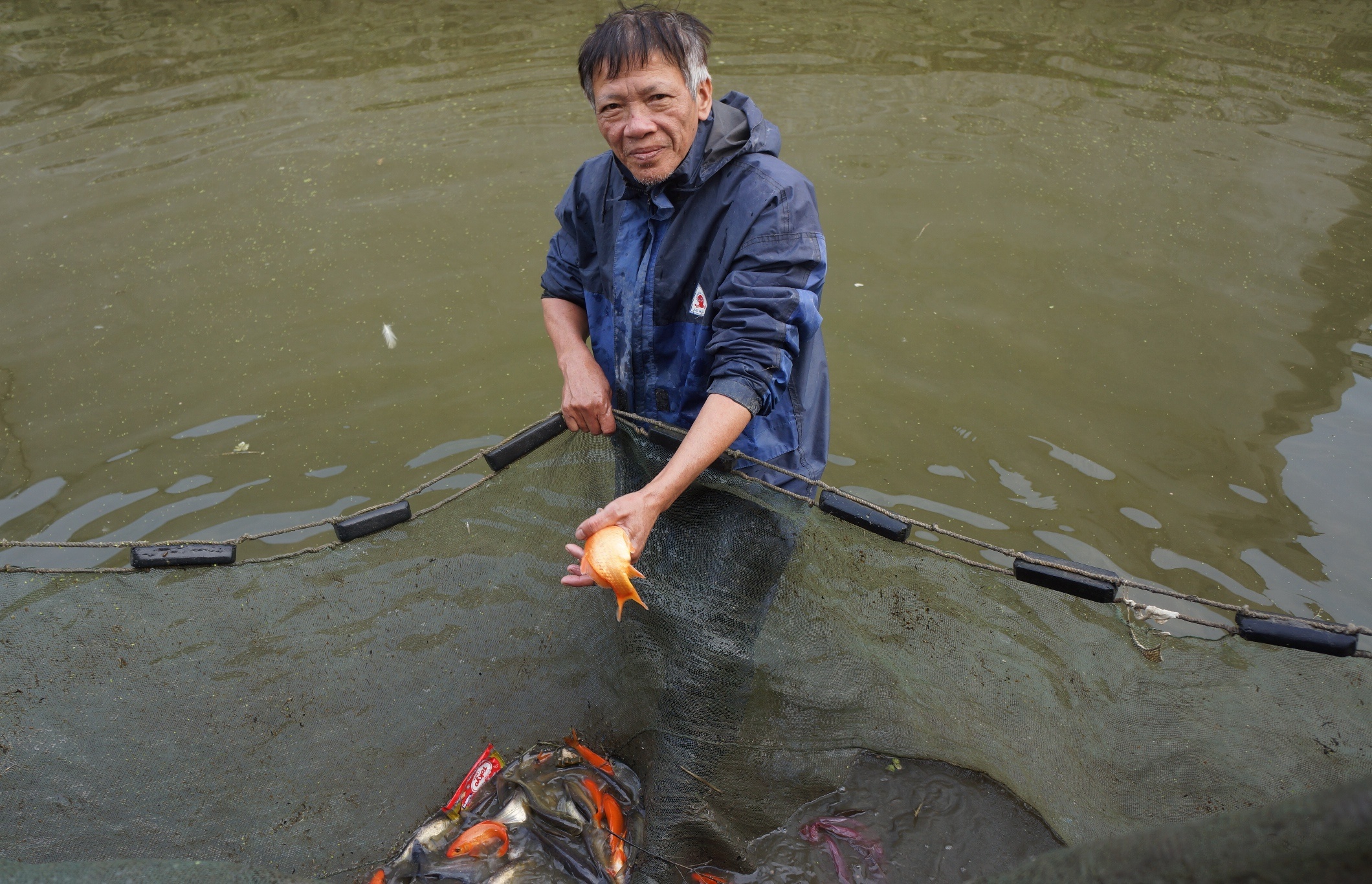 Ca chep co gia cao truoc ngay ong Tao ve troi hinh anh