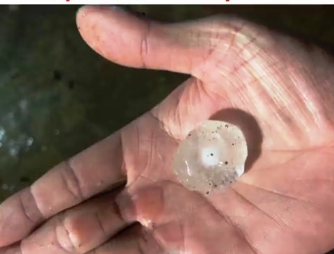 mua da tai cac tinh mien Bac anh 1