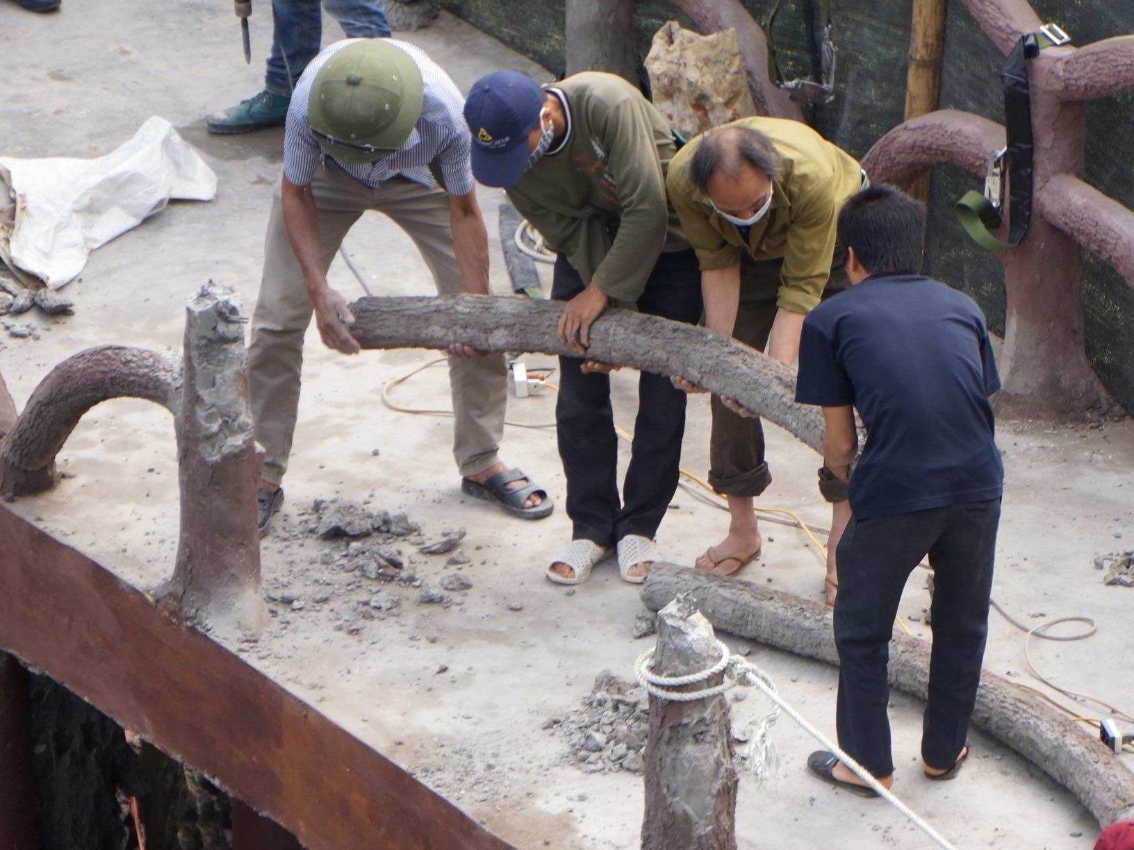 Moi thao do duoc 40 m lan can cau xuyen loi Trang An sau nua thang hinh anh