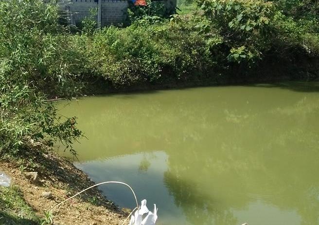 Ba be trai chet duoi duoi ao nuoc gan nha ba hinh anh