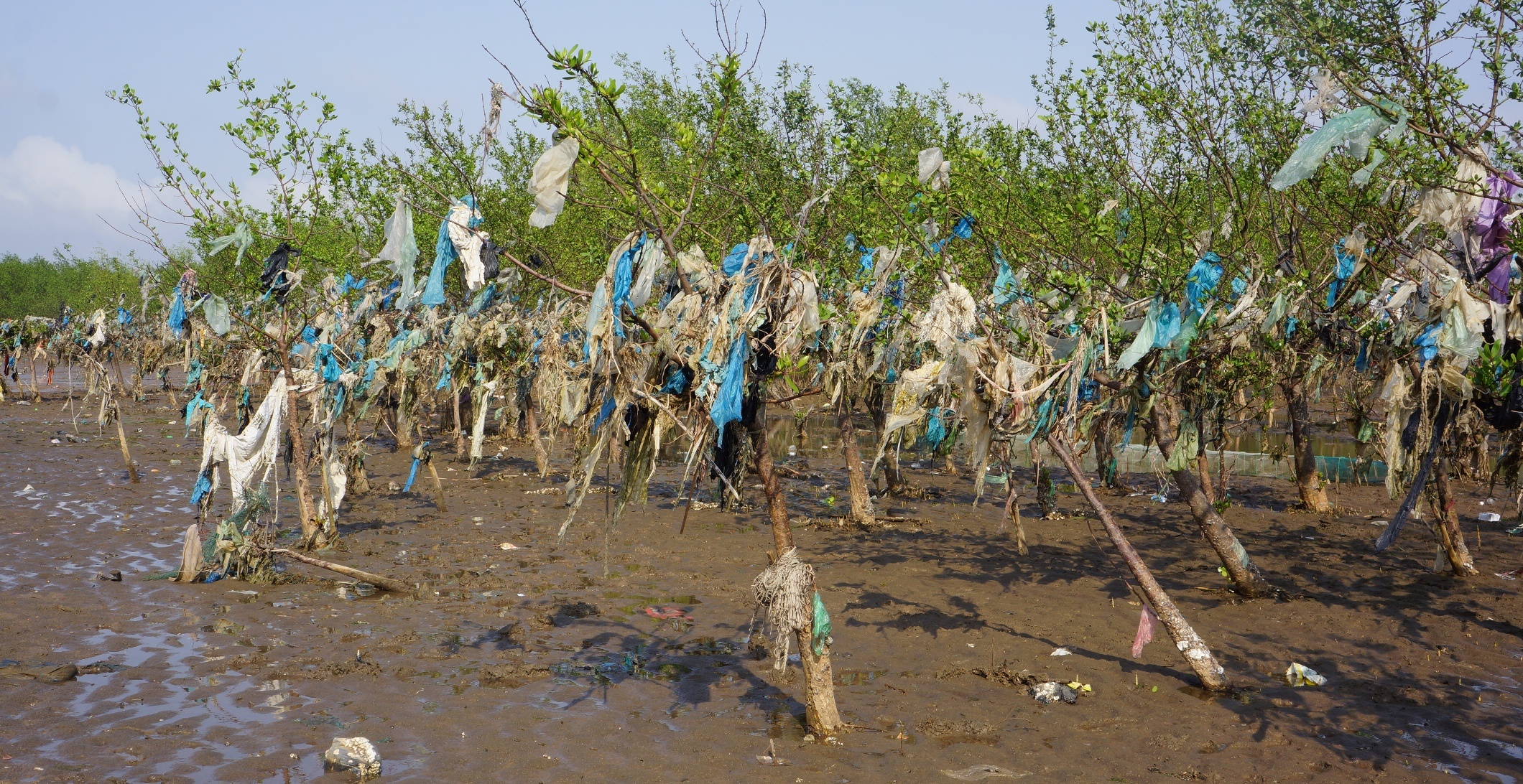 tui nylon mac ket o rung phong ho anh 1