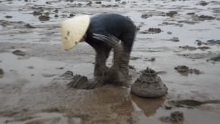 Loi bun san loai ca ky la nhat hanh tinh hinh anh