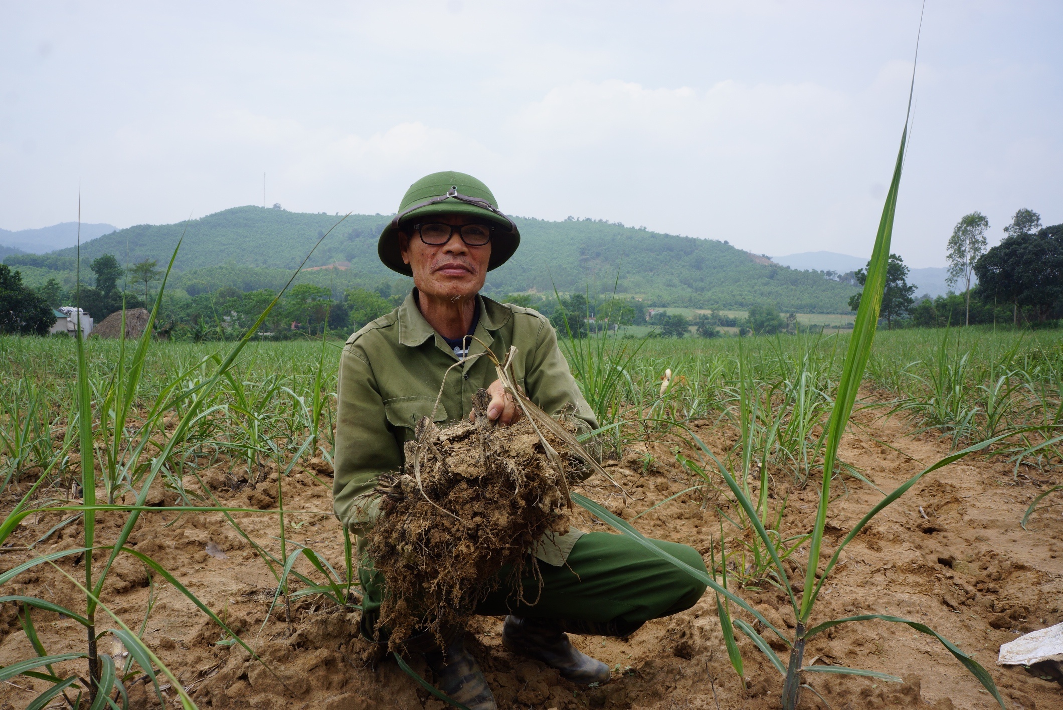dieu dung vi du an bo sua anh 2