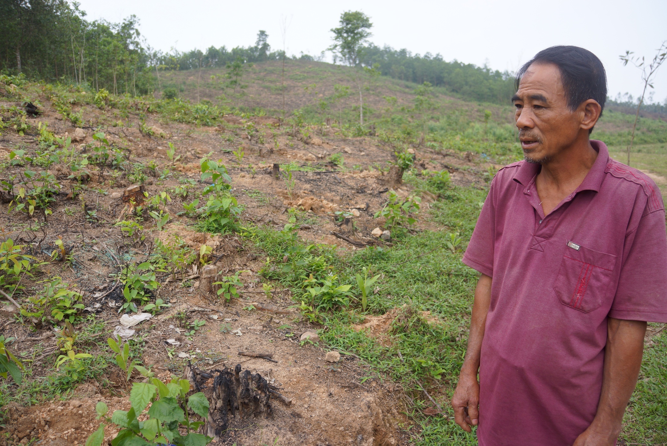 dieu dung vi du an bo sua anh 3