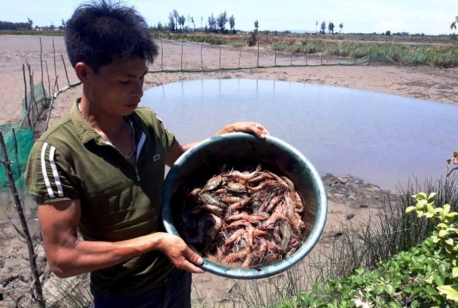 Tom su dot nhien chet hang loat o Thanh Hoa hinh anh