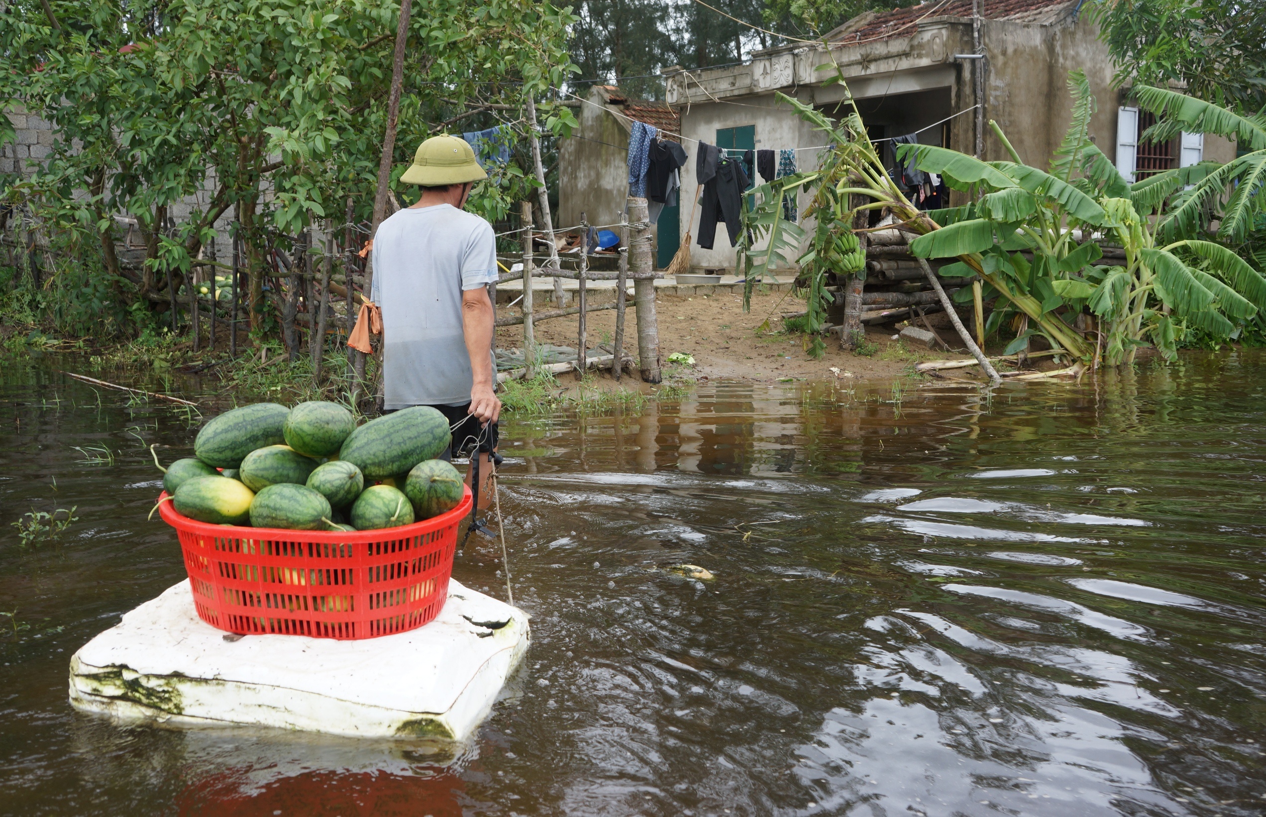 vot dua hau cho bo an anh 6