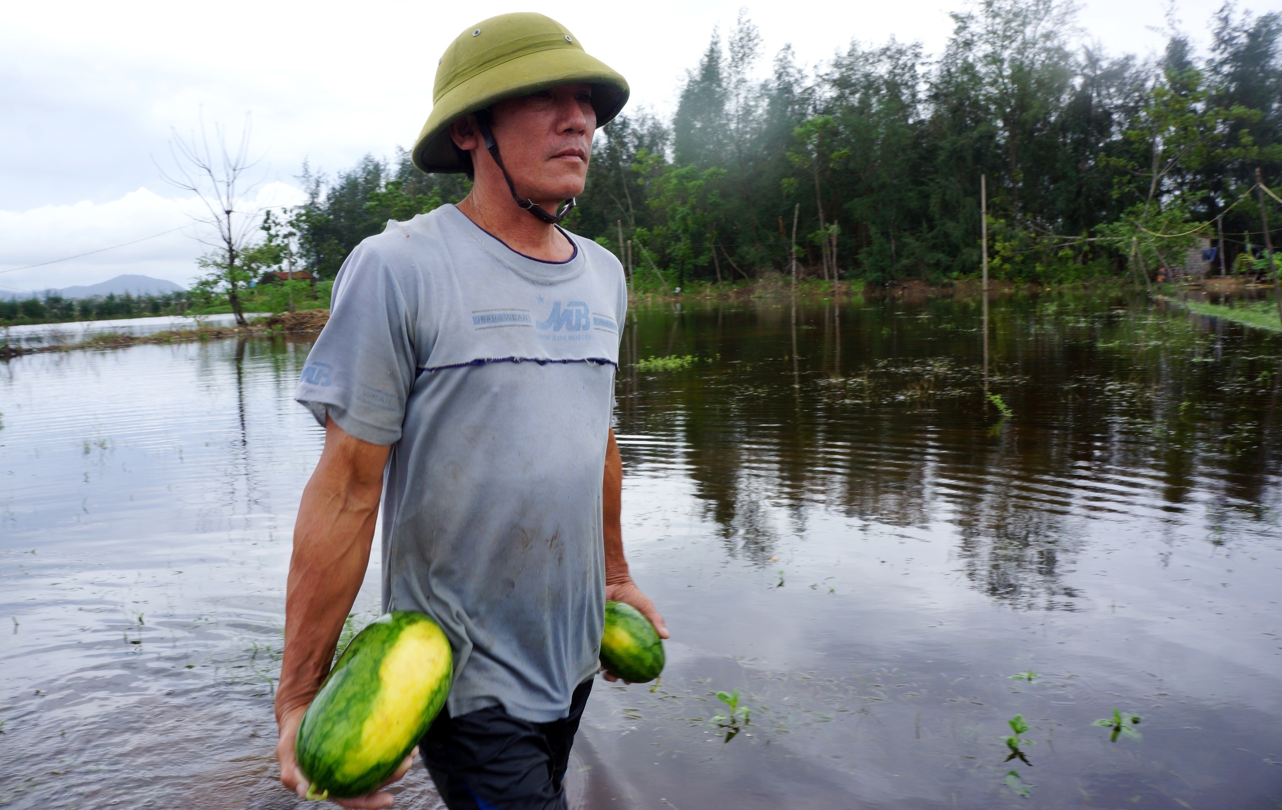 vot dua hau cho bo an anh 3