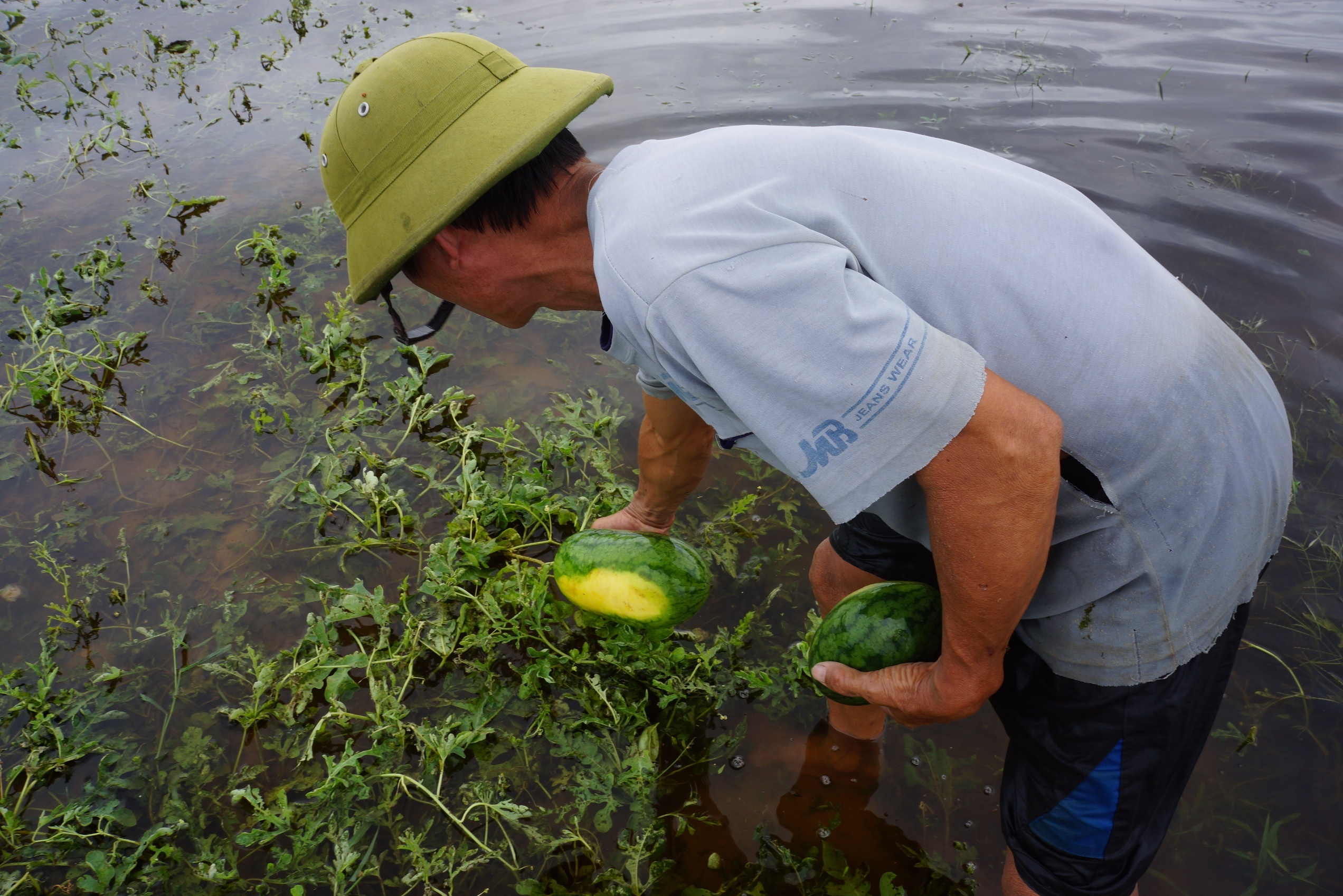 vot dua hau cho bo an anh 4