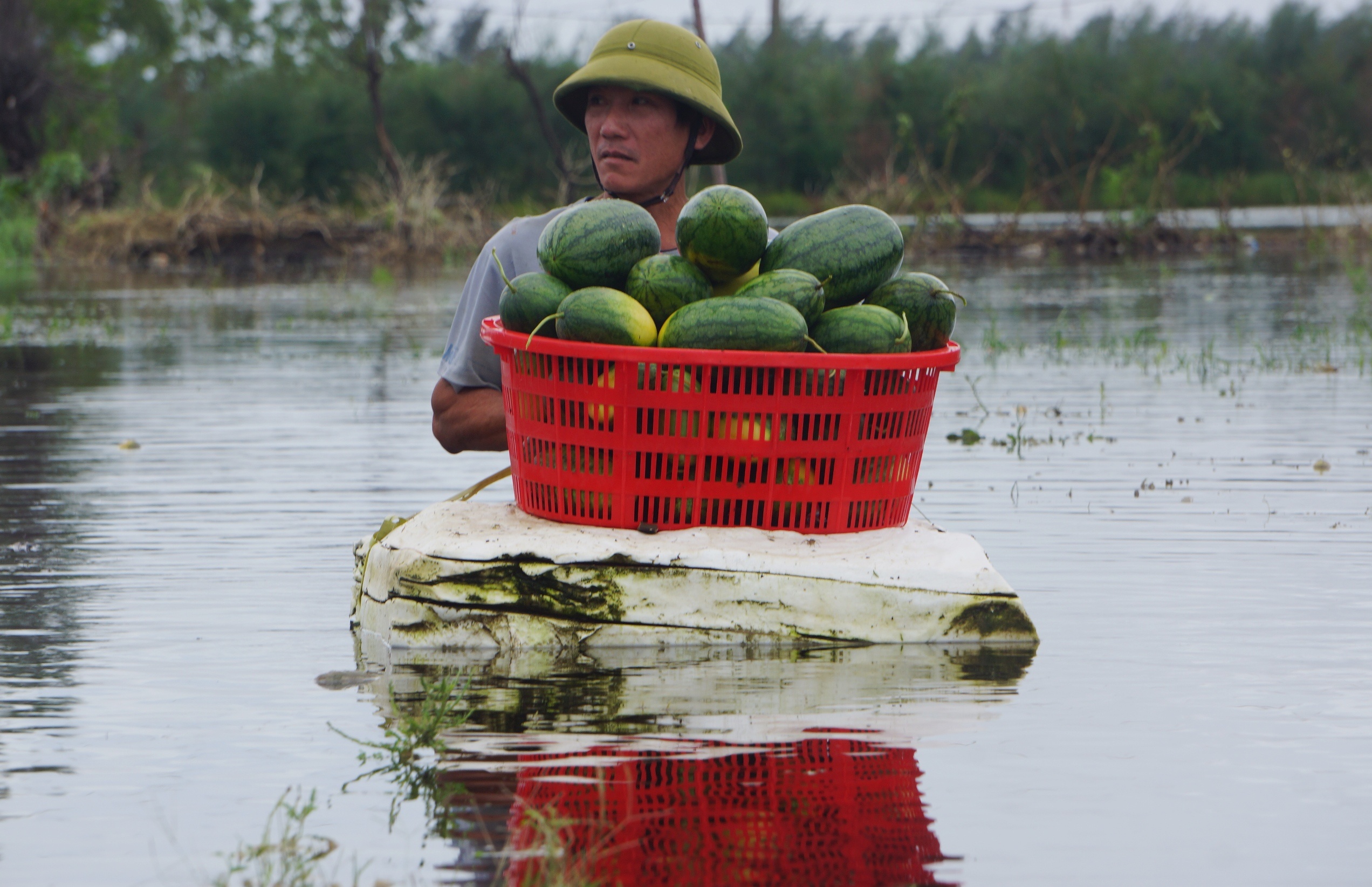 vot dua hau cho bo an anh 5