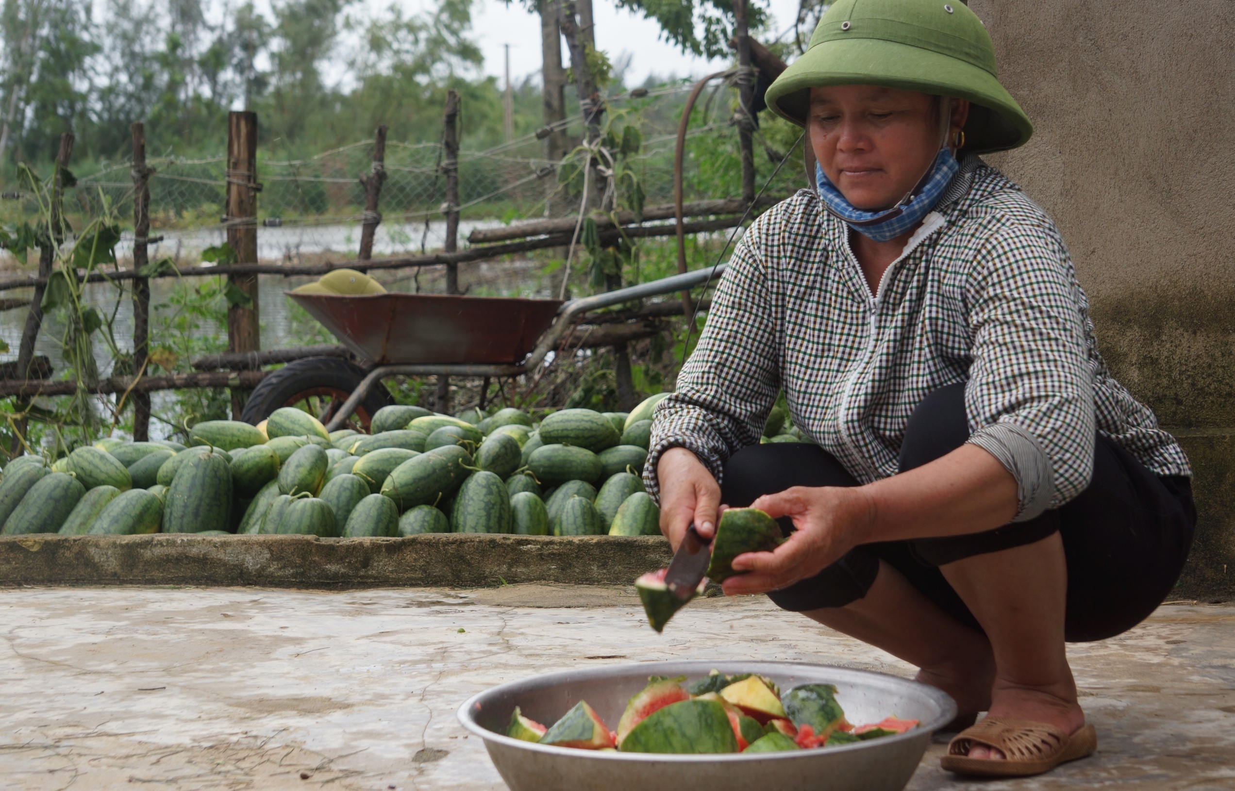 vot dua hau cho bo an anh 7