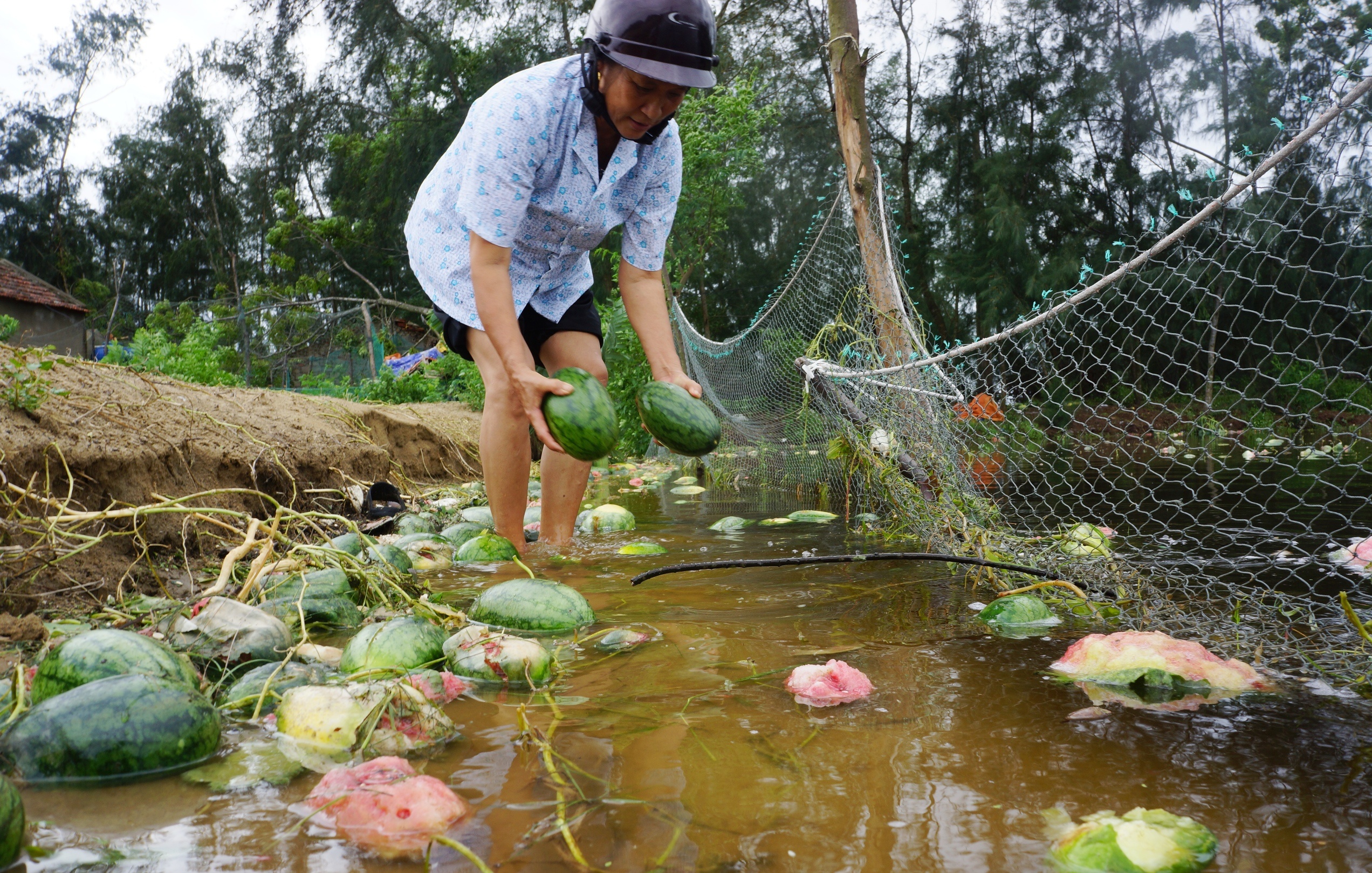 vot dua hau cho bo an anh 9