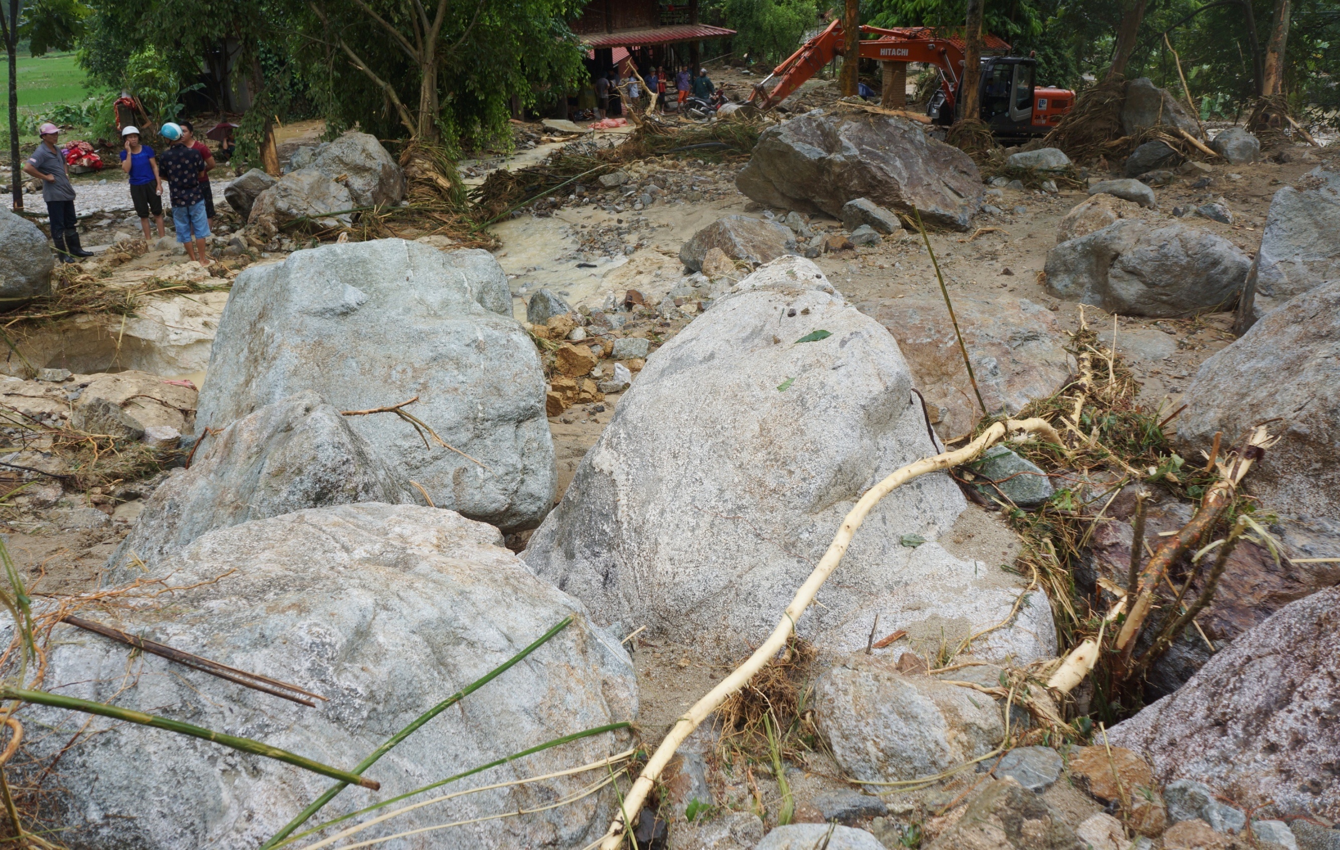 canh tan hoang noi lu quet anh 3