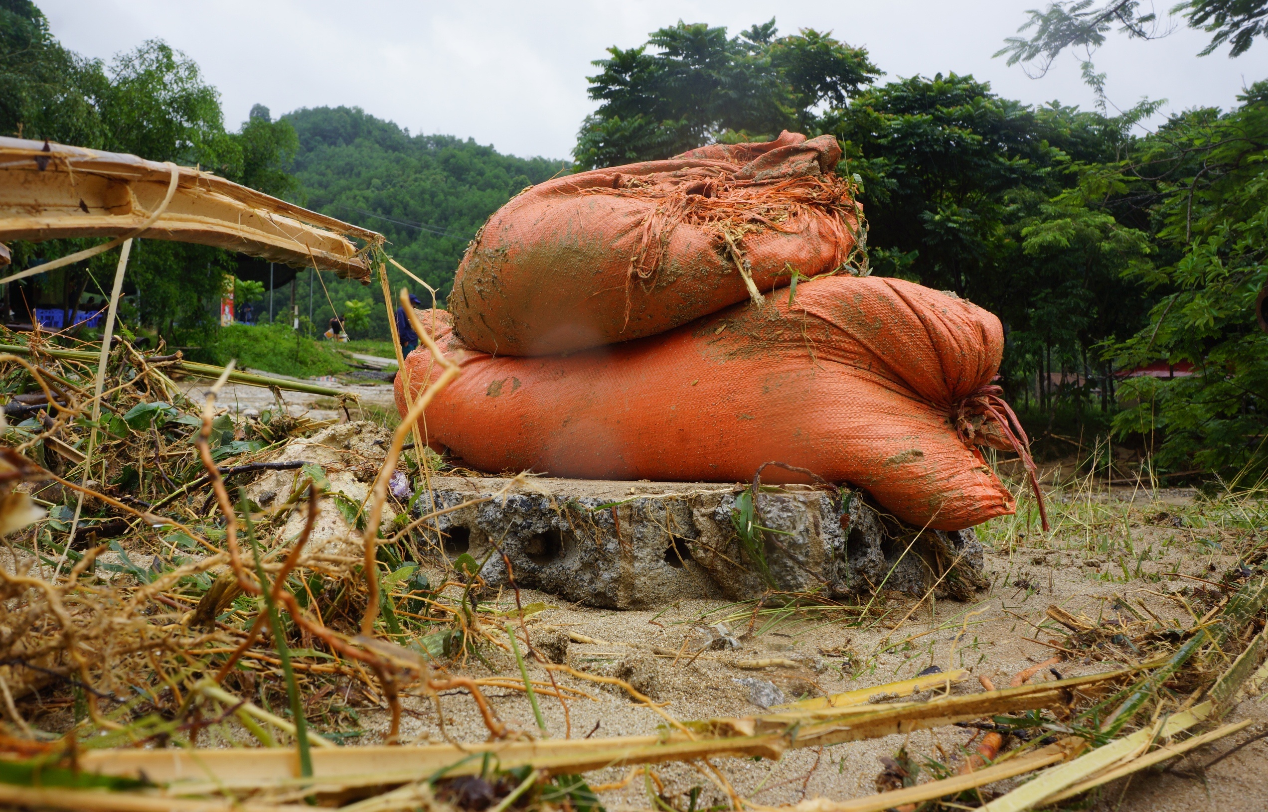 canh tan hoang noi lu quet anh 8