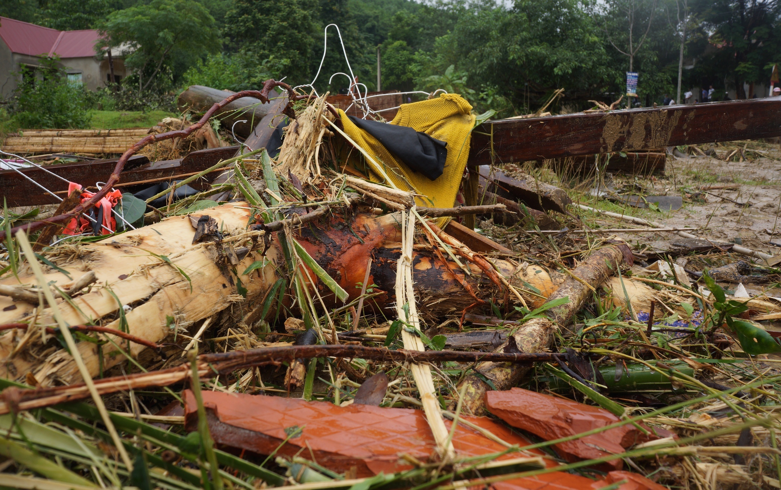 canh tan hoang noi lu quet anh 7
