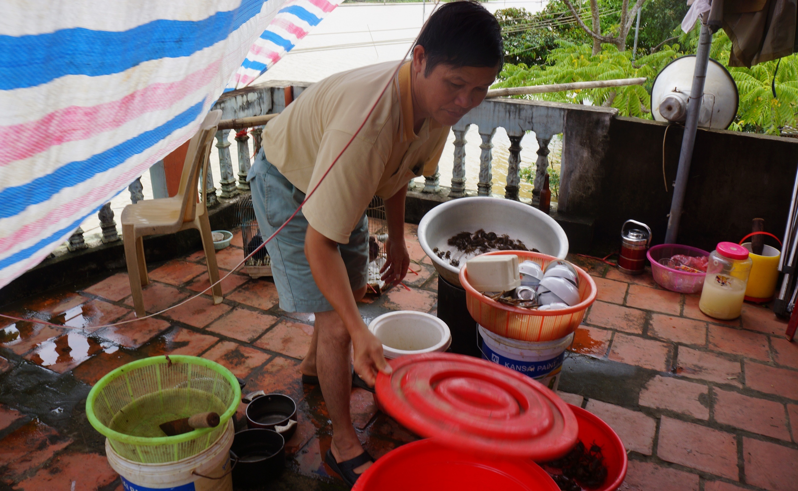 dan leo cay chay lu anh 5