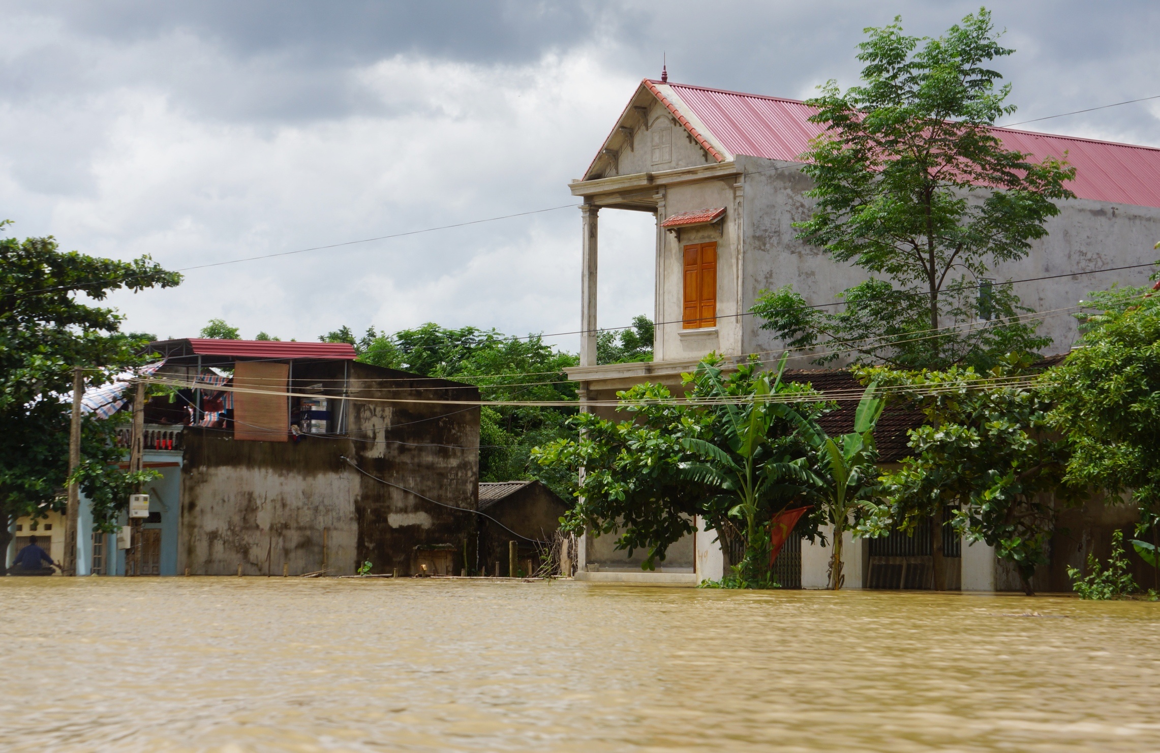 dan leo cay chay lu anh 2