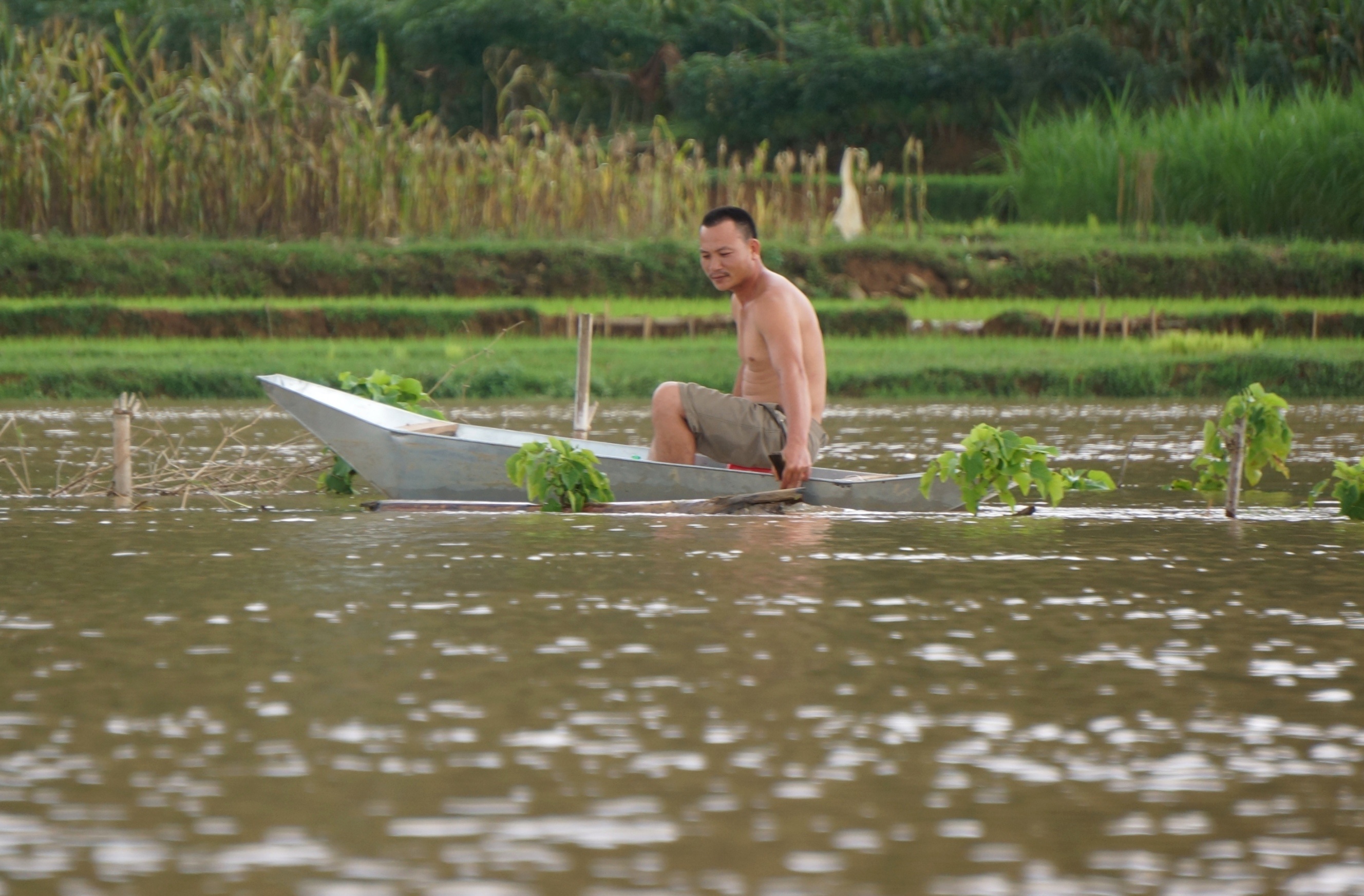 dan leo cay chay lu anh 10