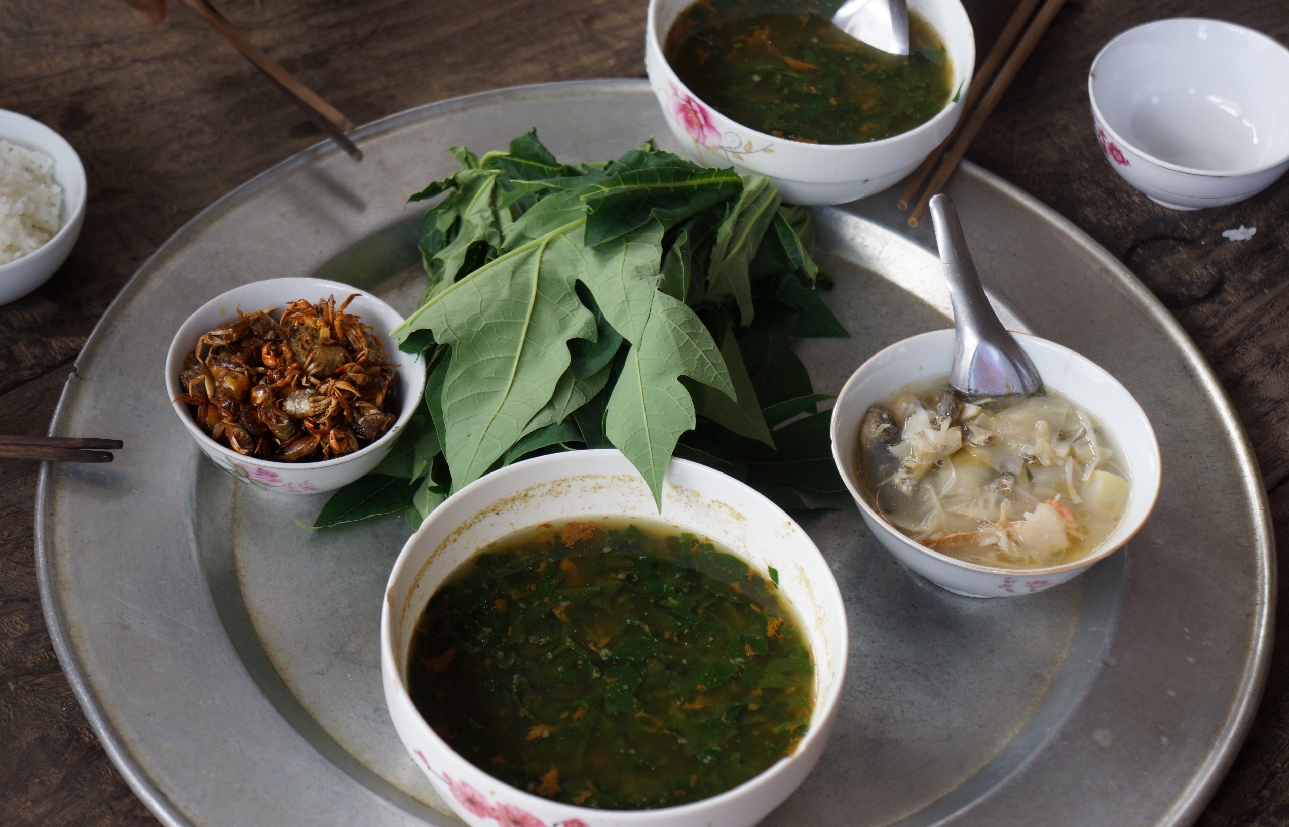 dan leo cay chay lu anh 8