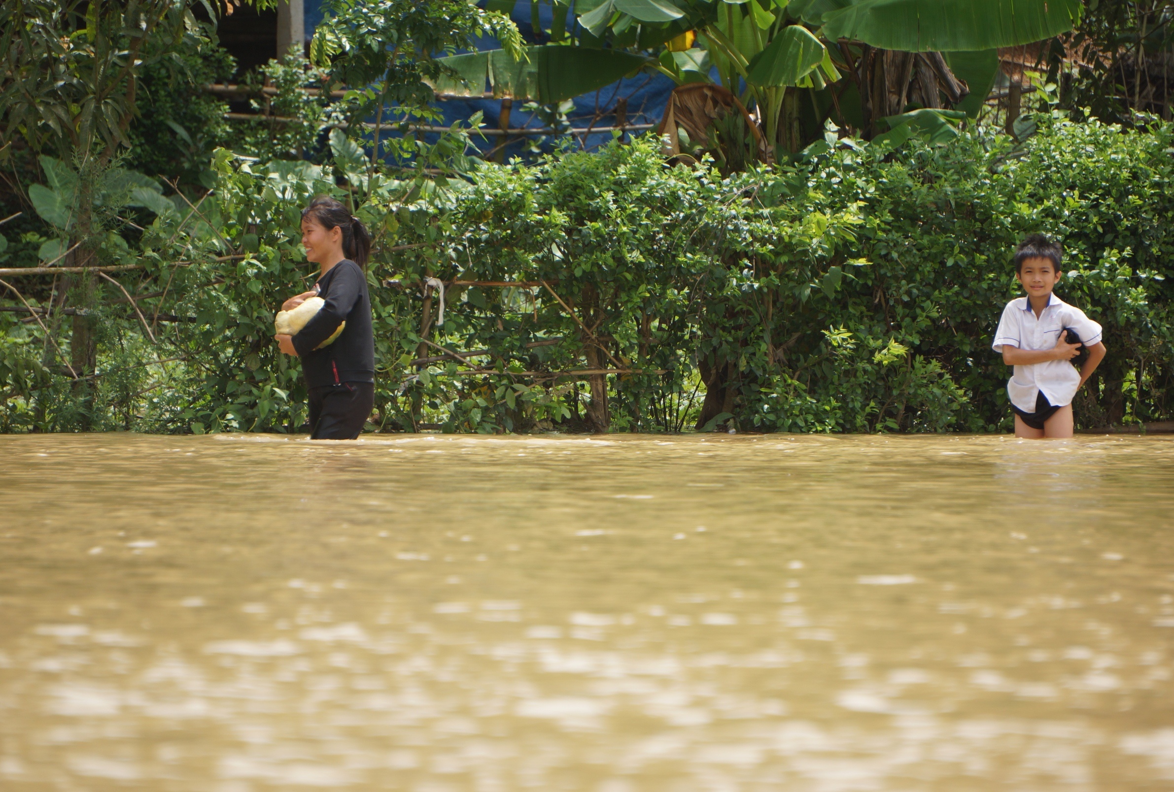 dan leo cay chay lu anh 3