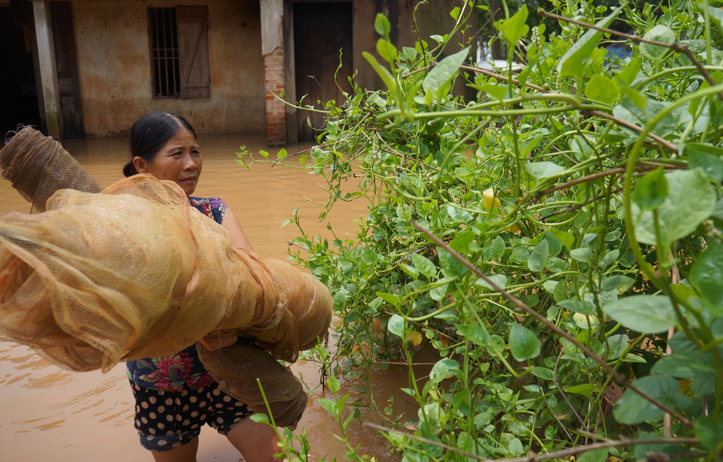 di chuyen ban tho ngay lu anh 5