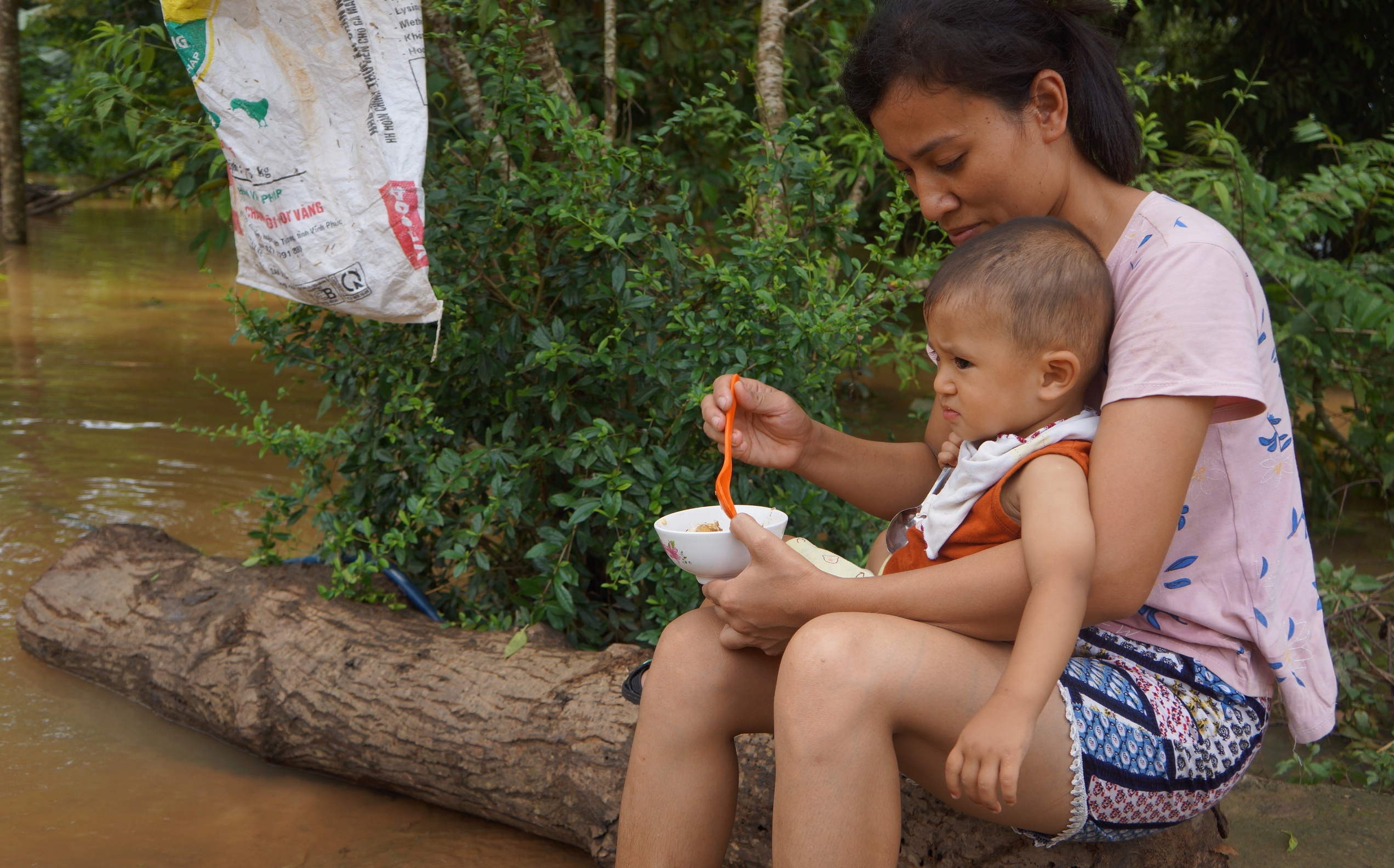 di chuyen ban tho ngay lu anh 8
