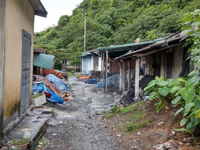 thoat chet trong dem da roi anh 3