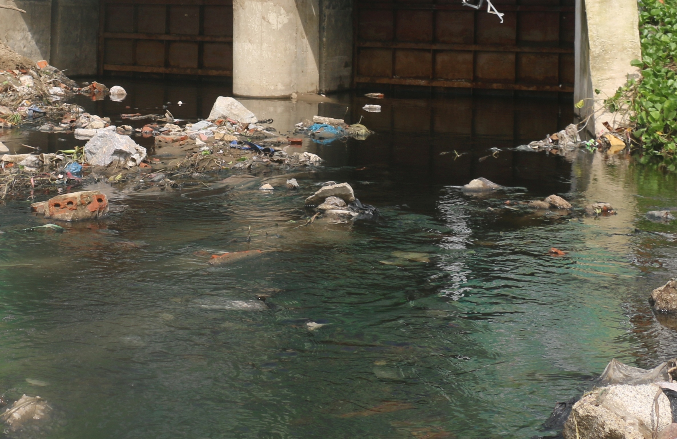 nuoc thai lai chay ra bien Sam Son anh 2